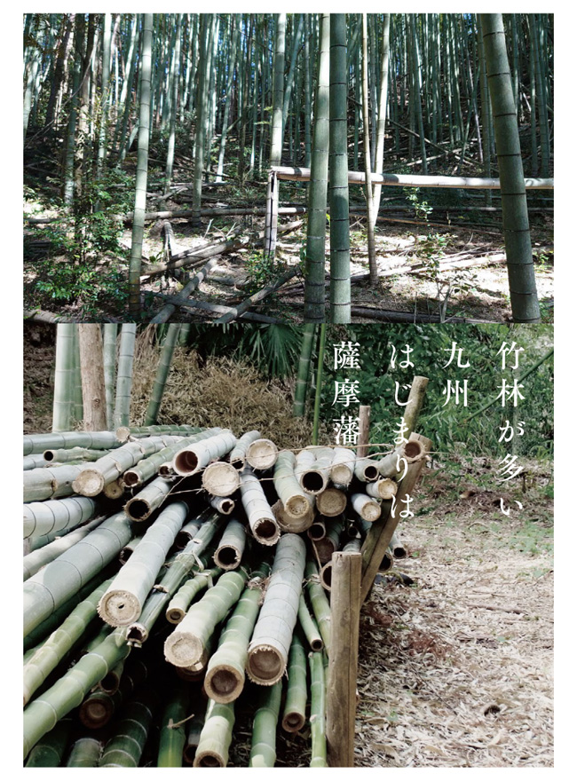 竹林が多い薩摩藩